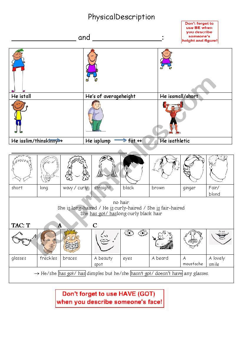 physical description worksheet