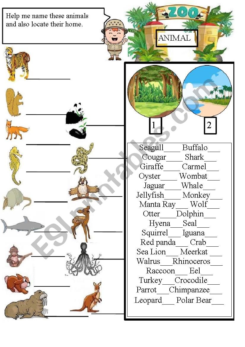 Animals worksheet