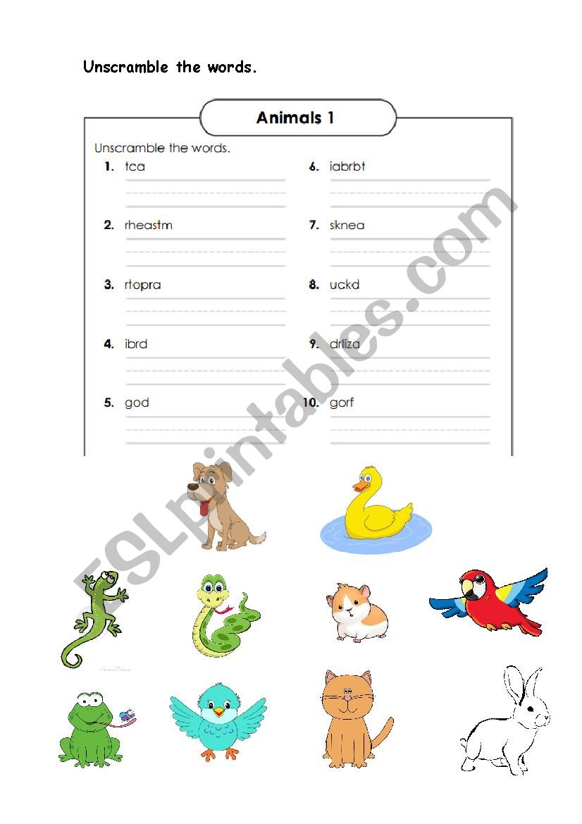 Animals scrambled worksheet