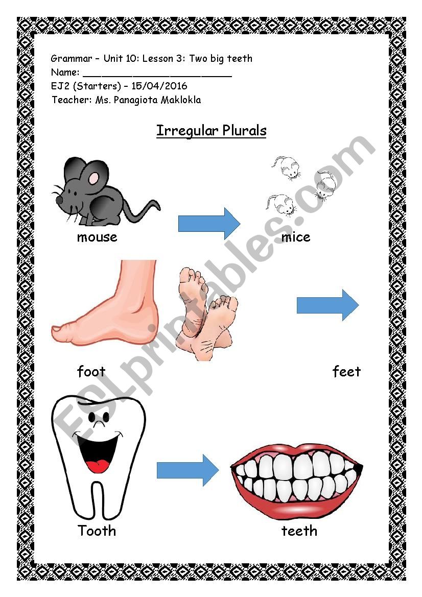 Irregular plurals worksheet