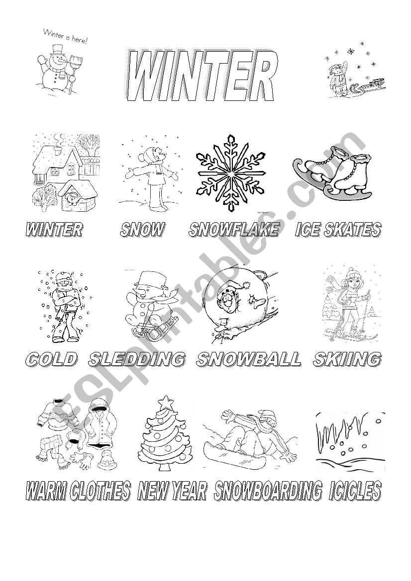 Winter workseet worksheet