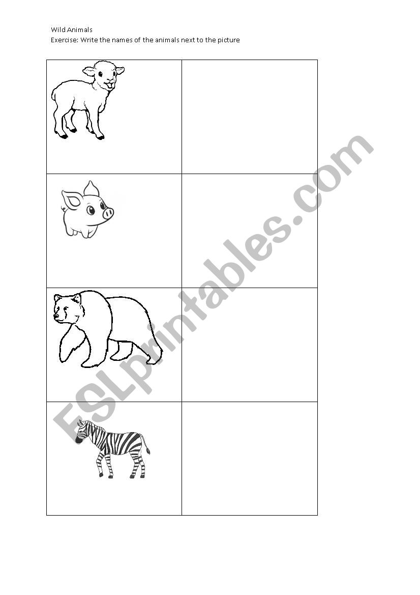 Animals  worksheet