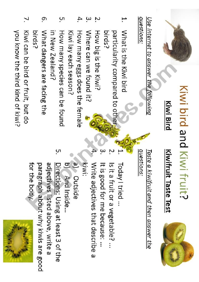 Kiwibird and kiwifruit worksheet