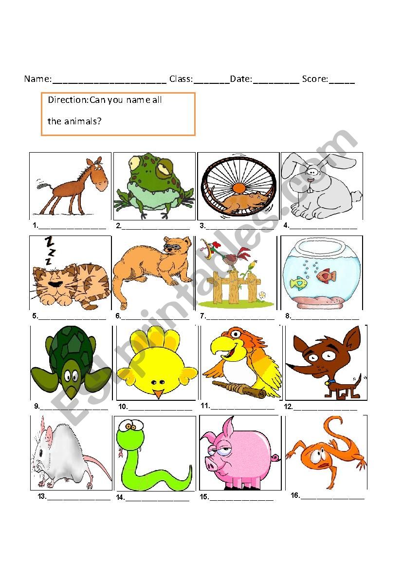 Name the animals Vocabulary worksheet