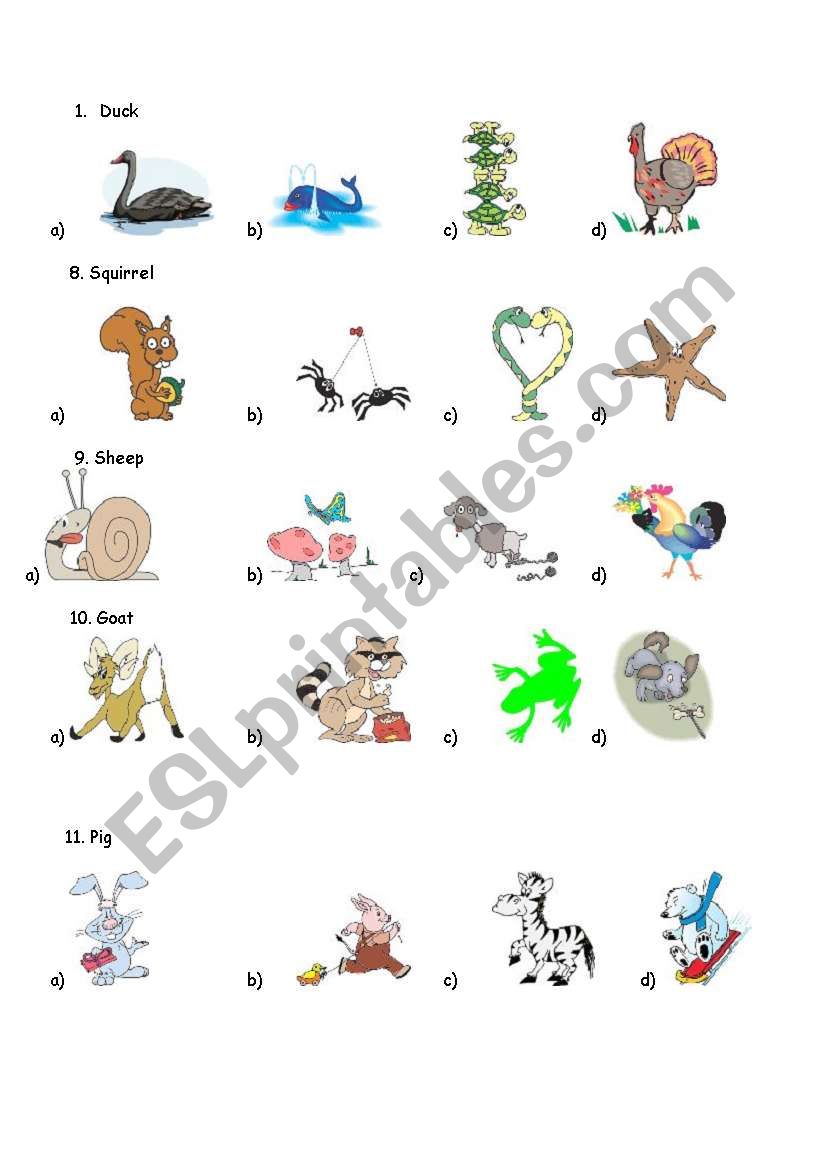 ANIMAL TEST 2 worksheet