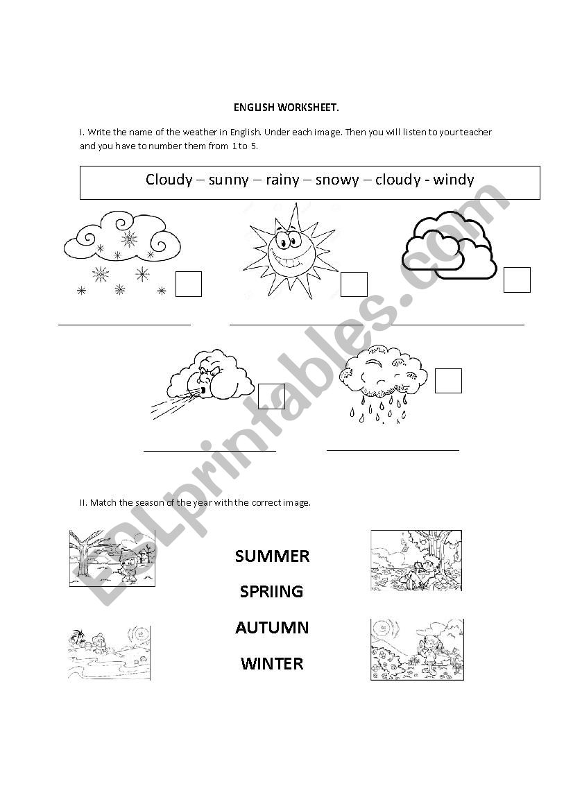 The Weather  worksheet