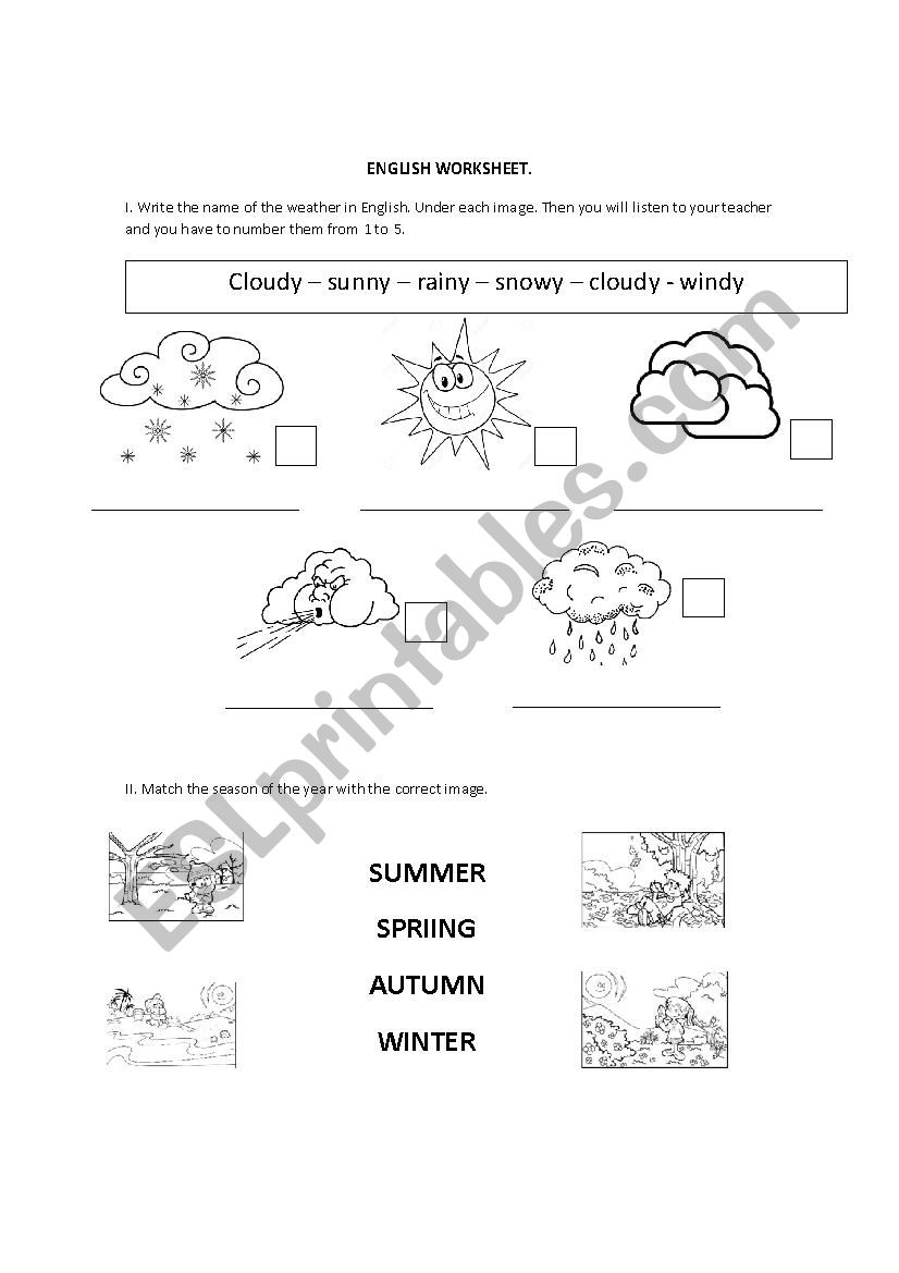 The Weather  worksheet