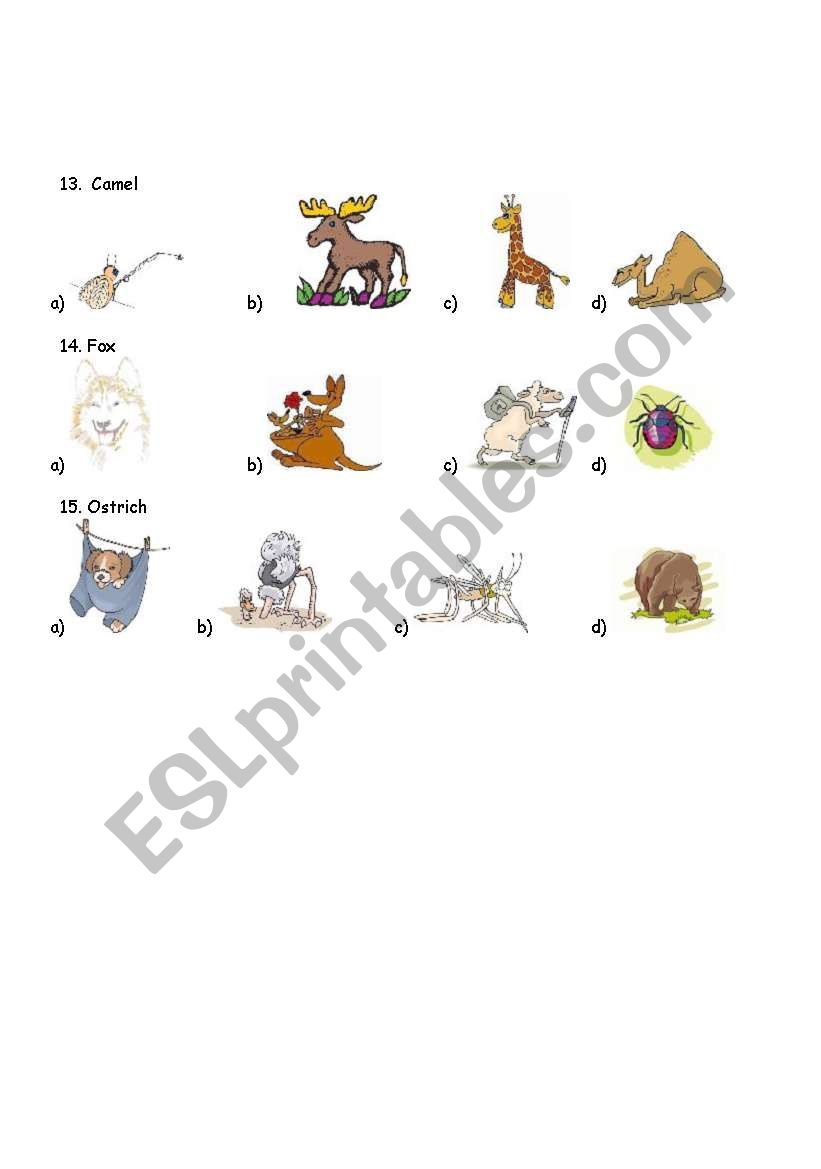 ANIMAL TEST 3 worksheet