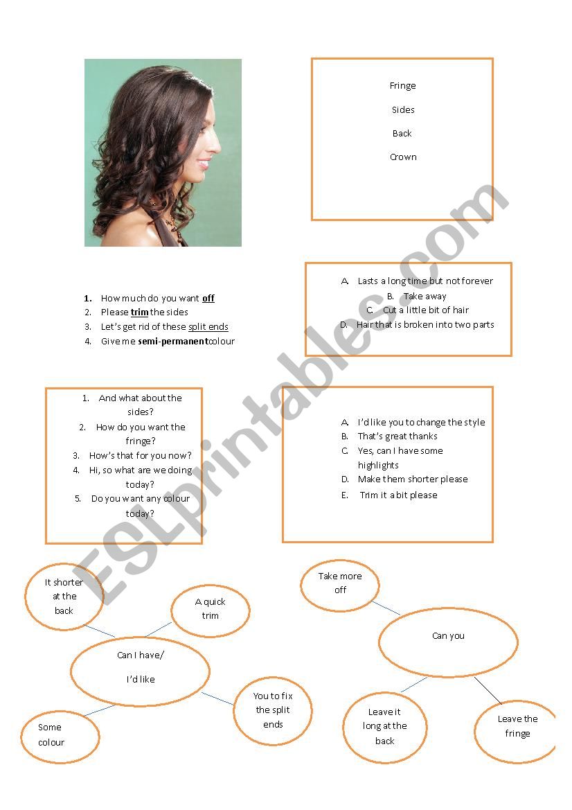 Hair worksheet