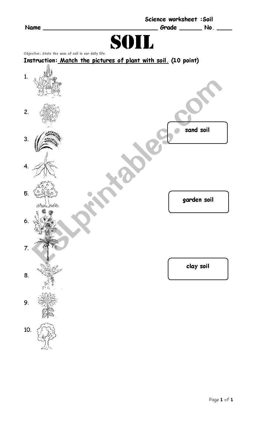 soil worksheet worksheet