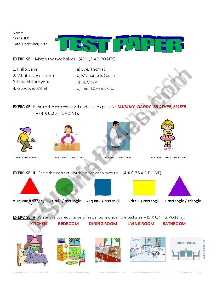 TEST PAPER worksheet