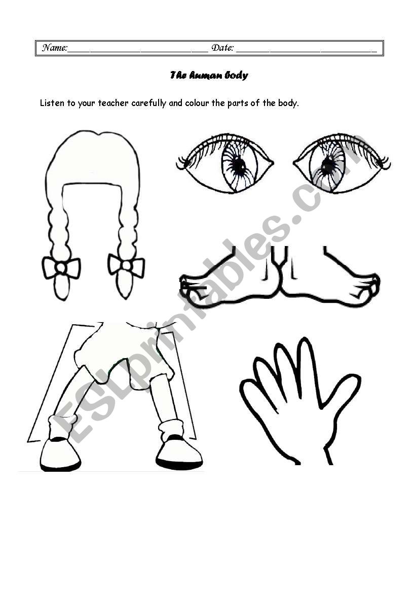 Listening activity - colour the parts of the body