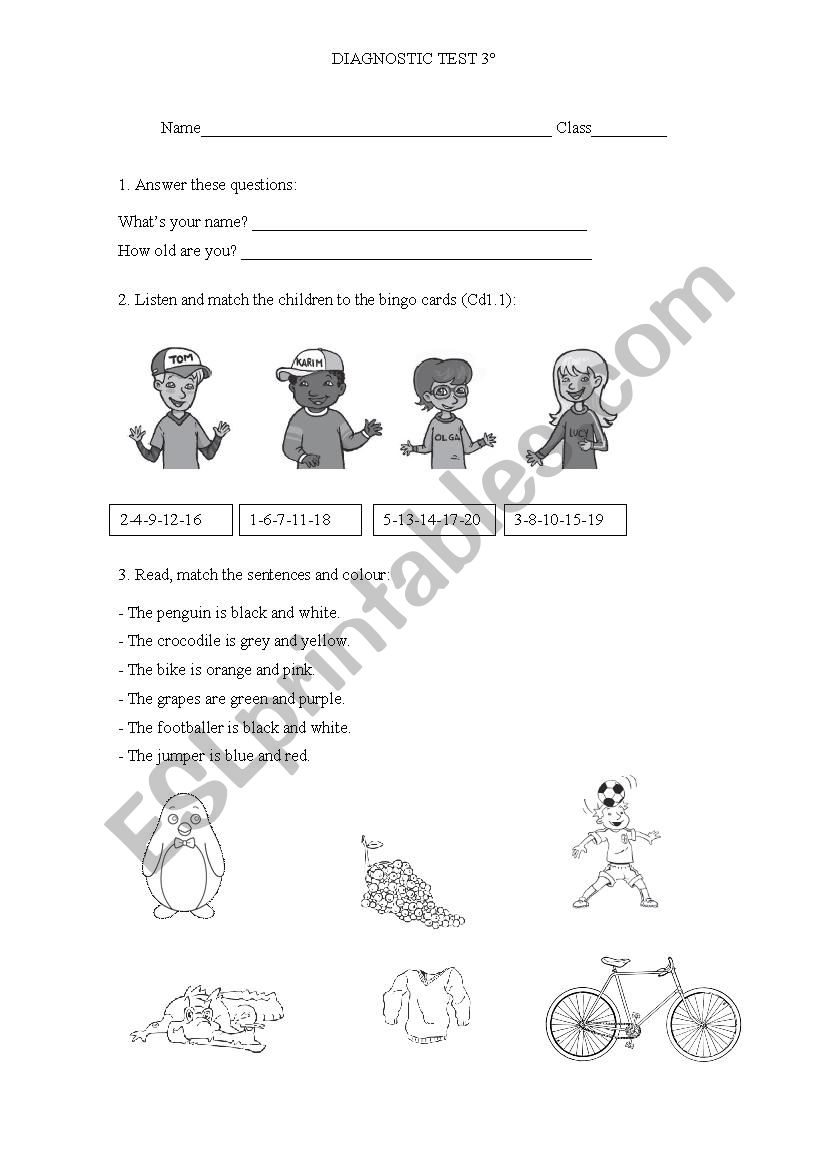 DIAGNOSTIC TEST 3RD worksheet