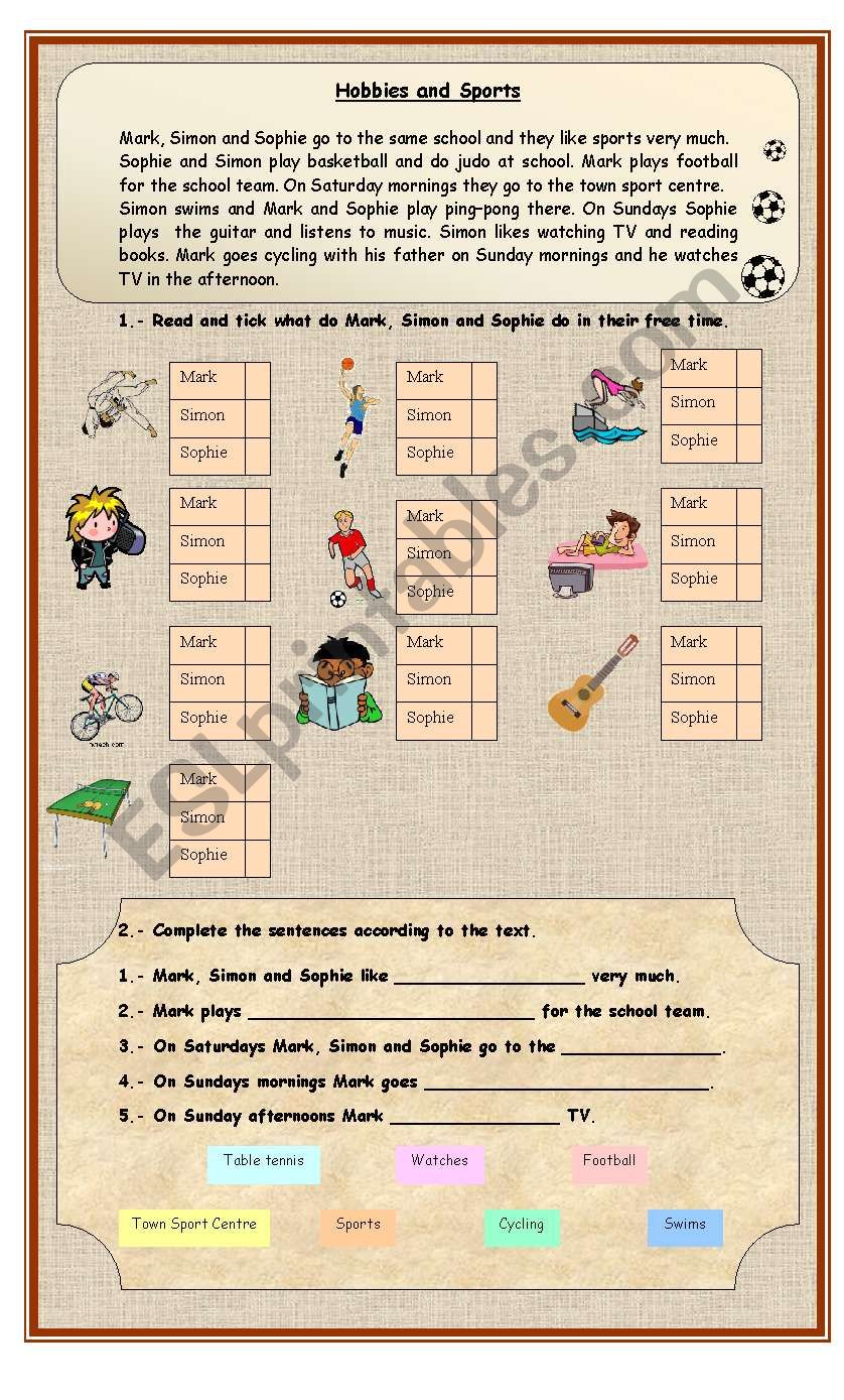 Hobbies and Sports worksheet