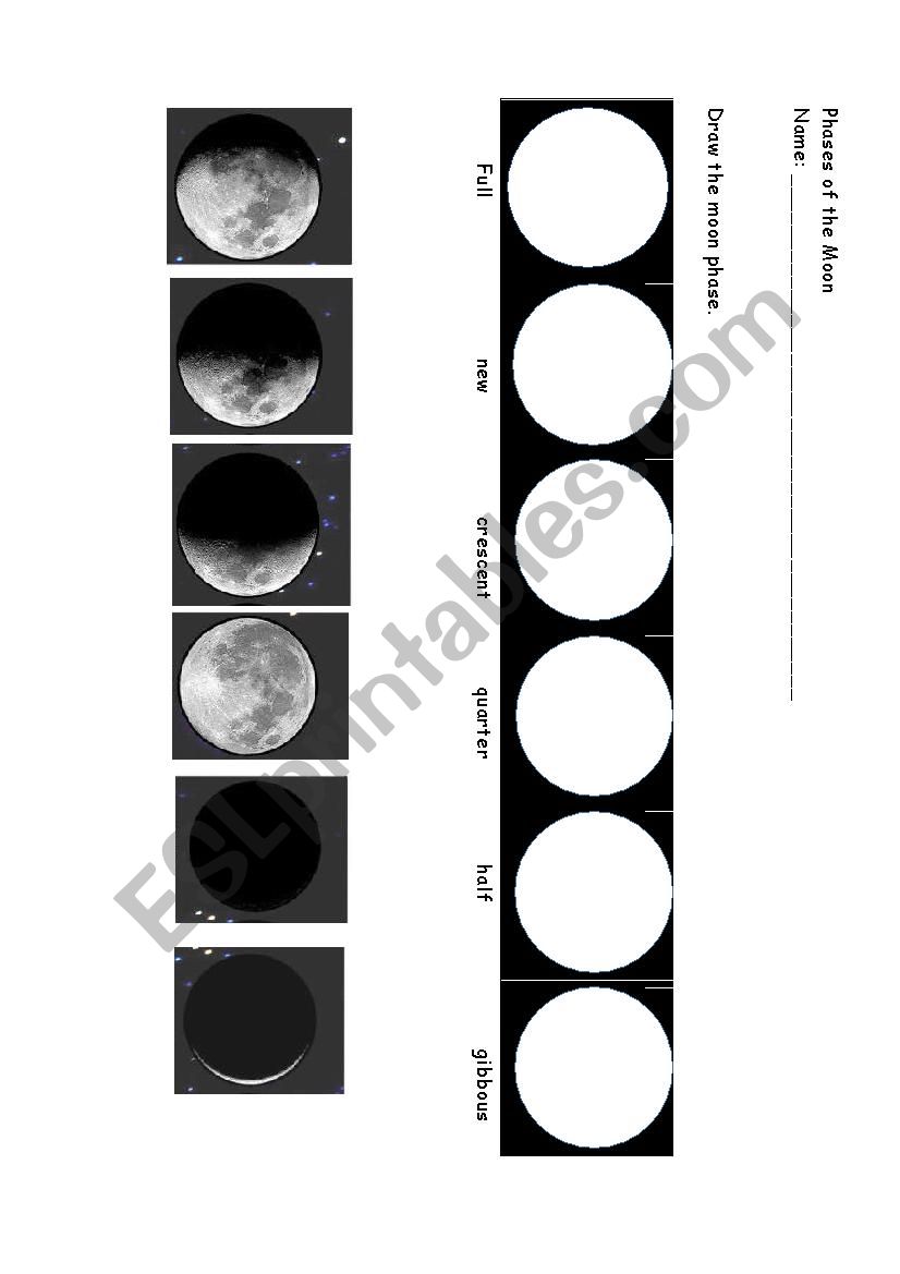 draw the phase worksheet