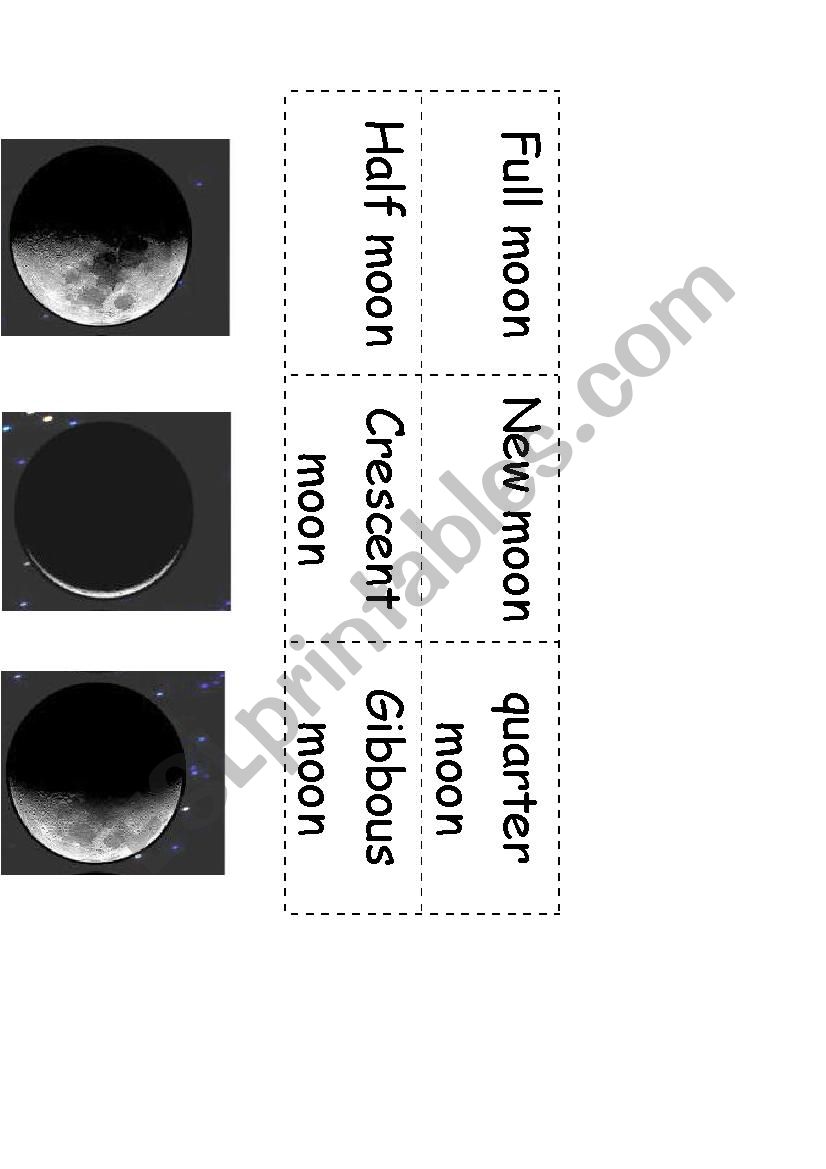 moon phases worksheet