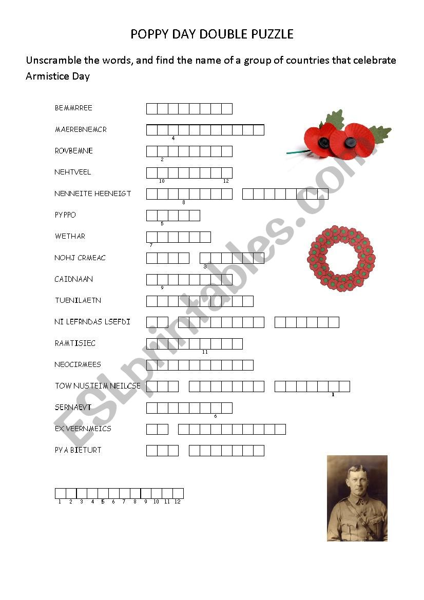 poppy day double puzzle worksheet