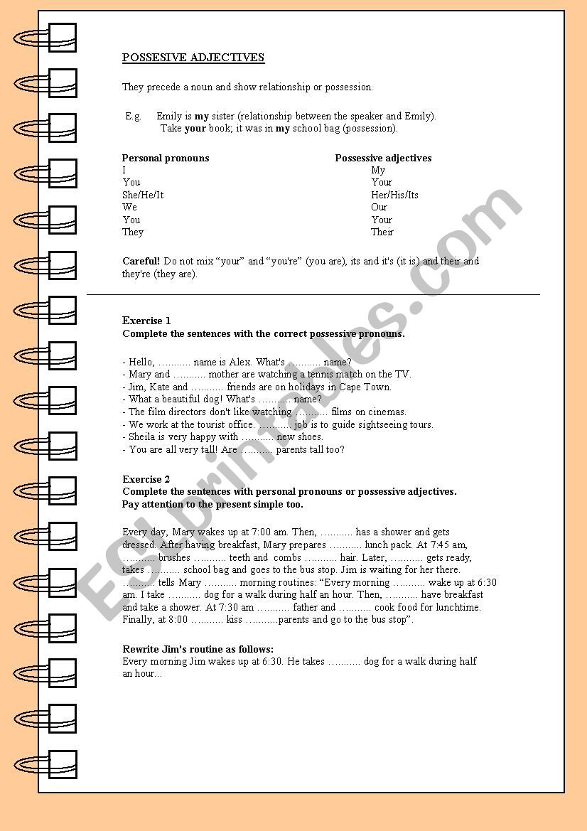 Possessive Adjectives worksheet