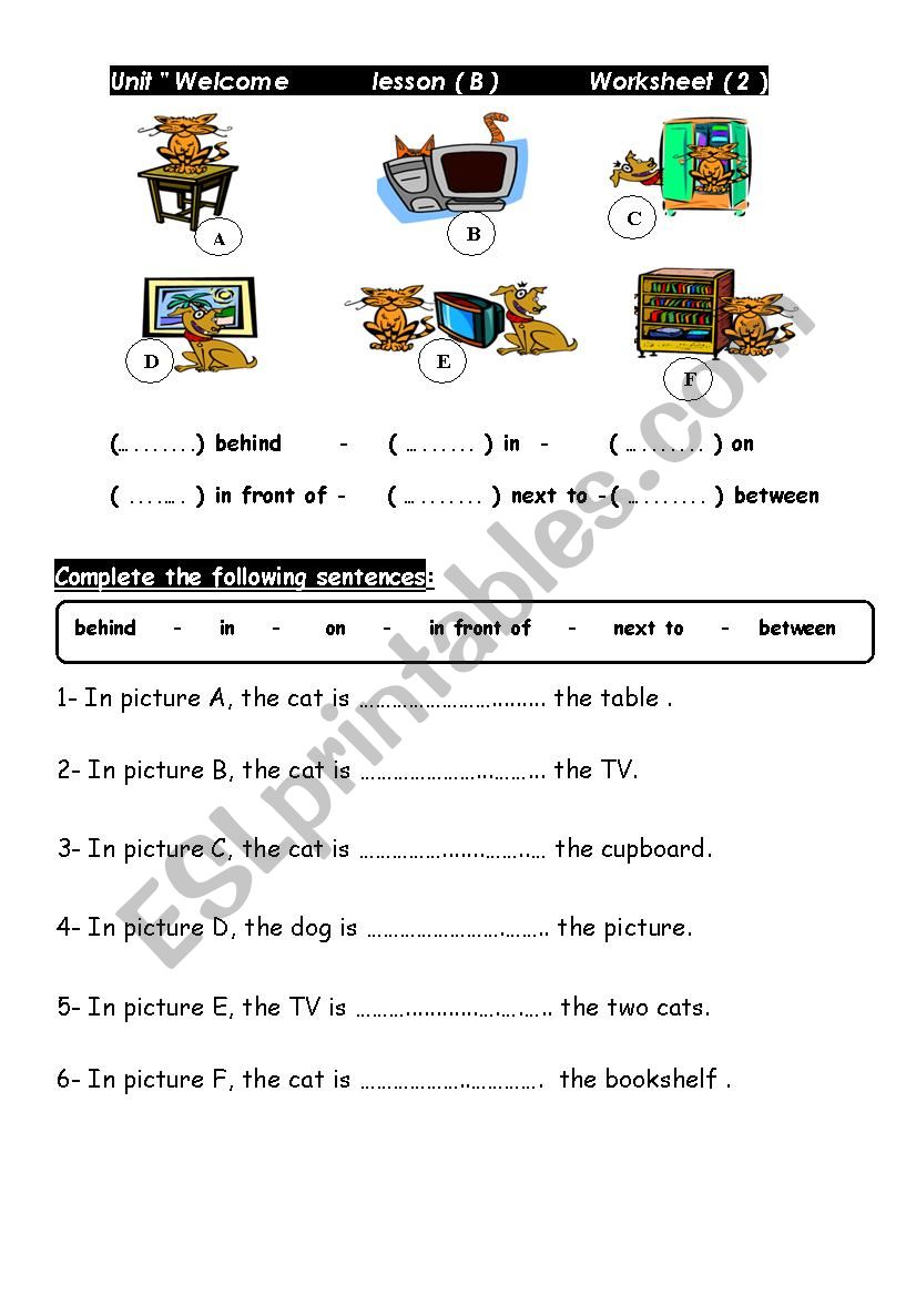 prepositions worksheet