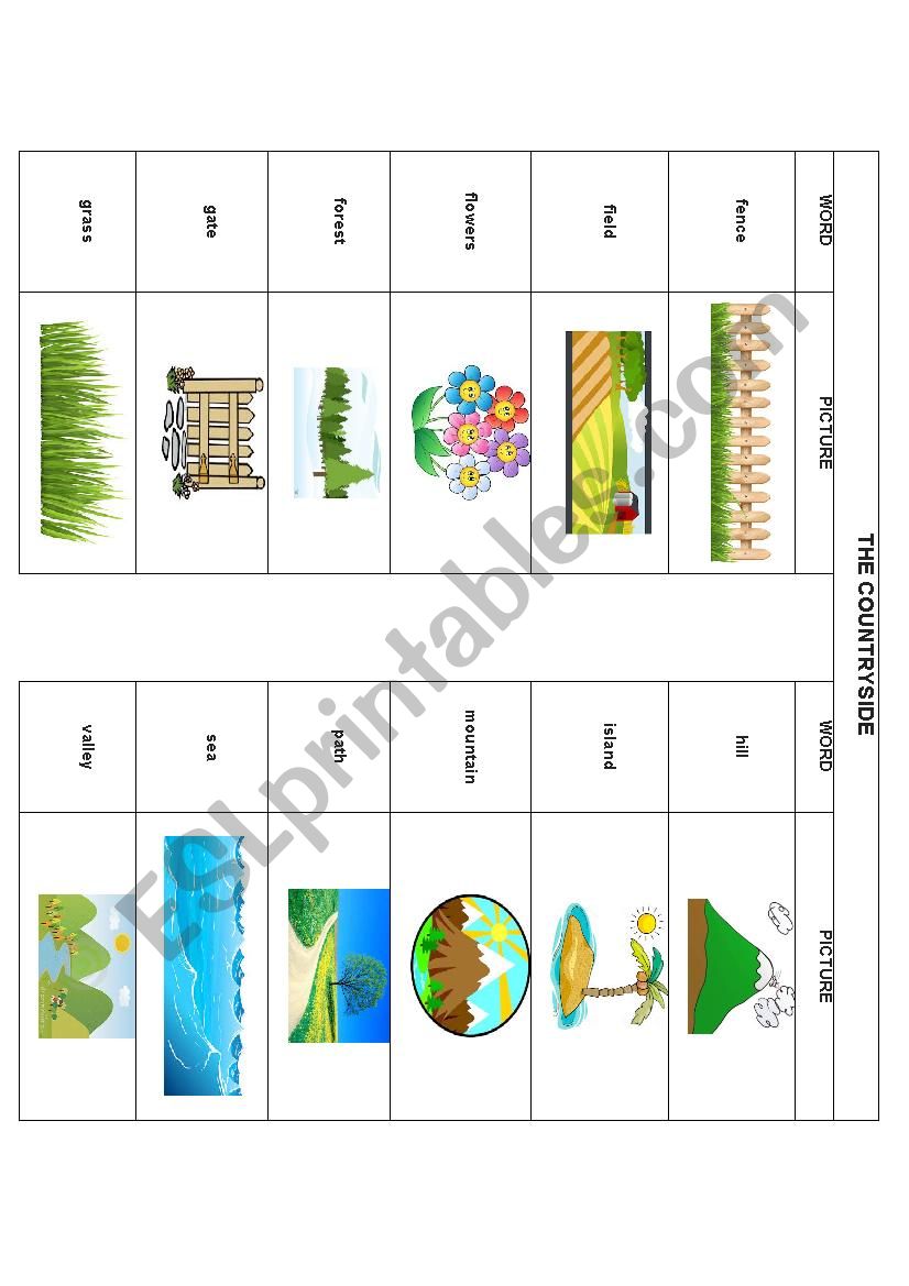 COUNTRYSIDE worksheet