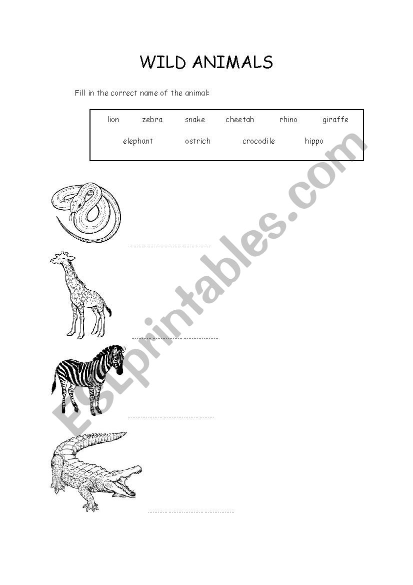 Wild animals worksheet