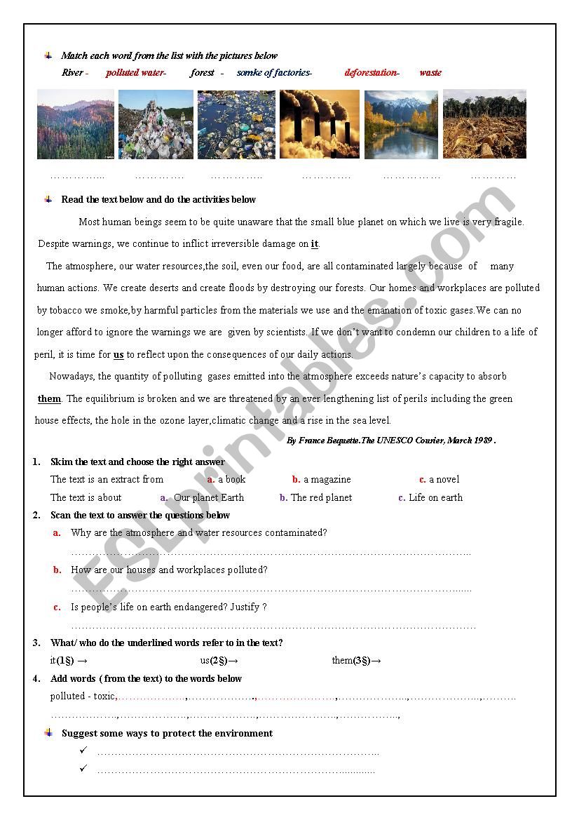 environment worksheet worksheet