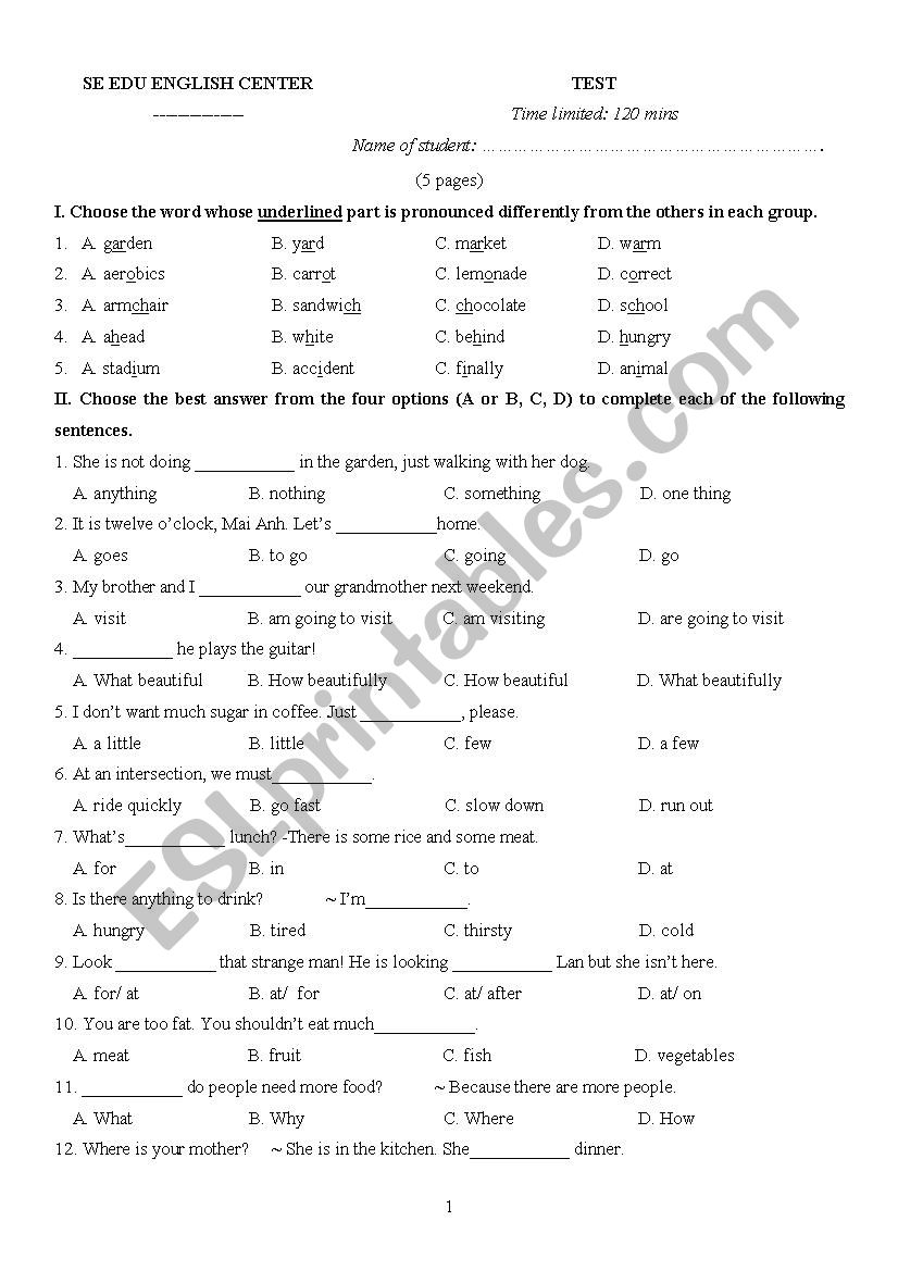 TEST FOR GRADE 6 worksheet