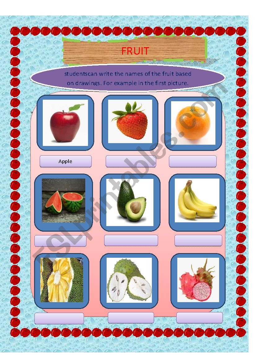 vocabulary worksheet