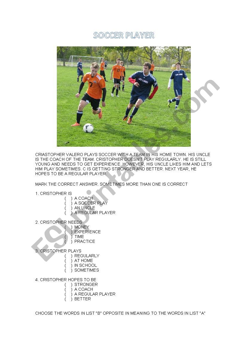 SOCCER PLAYER worksheet