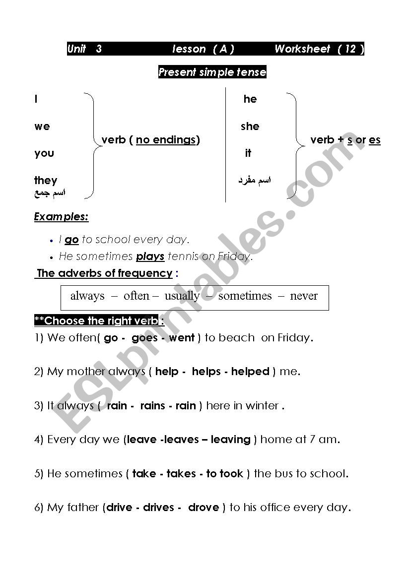 Present simple tense  worksheet