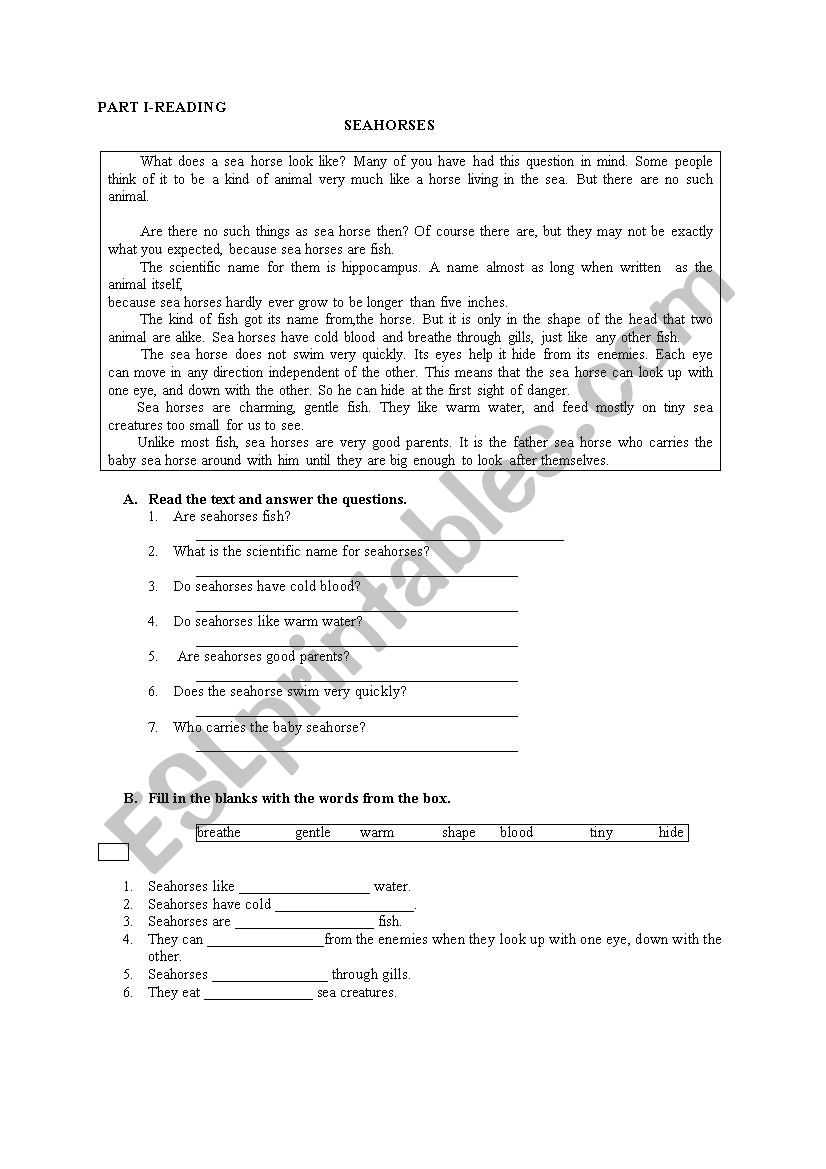 Comparatives worksheet