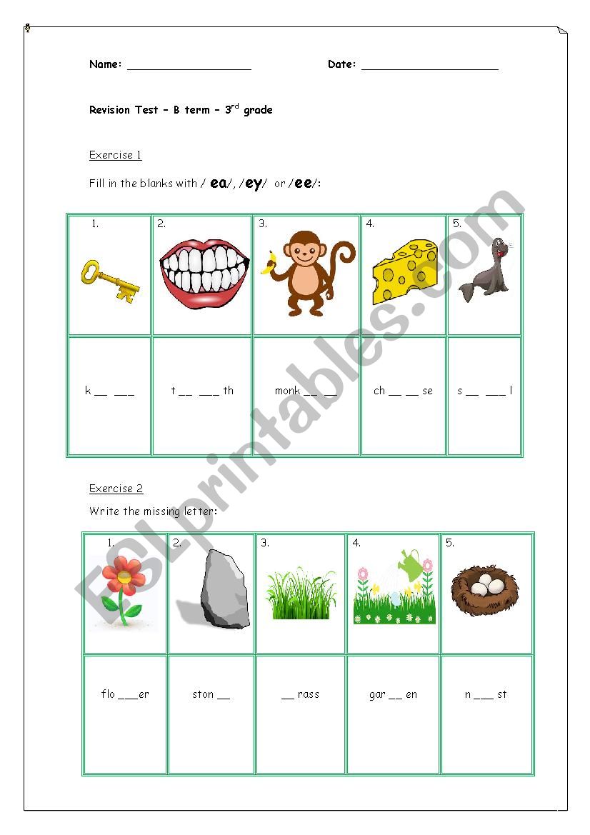 Revision test-3rd grade worksheet