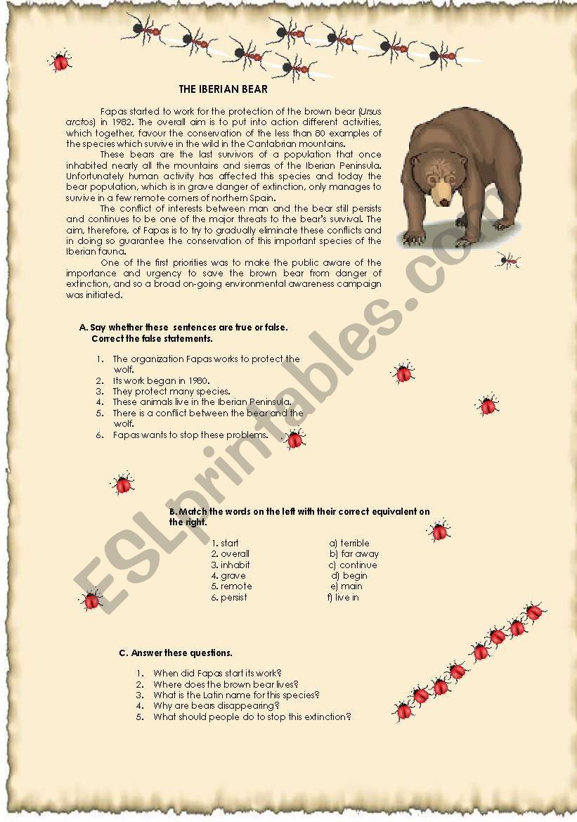 The Iberian bear worksheet