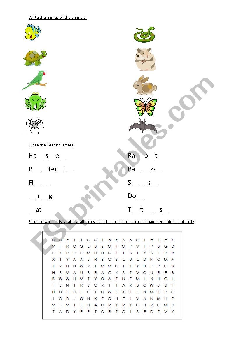 Animals, discovery island unit3, write the names of the animlas