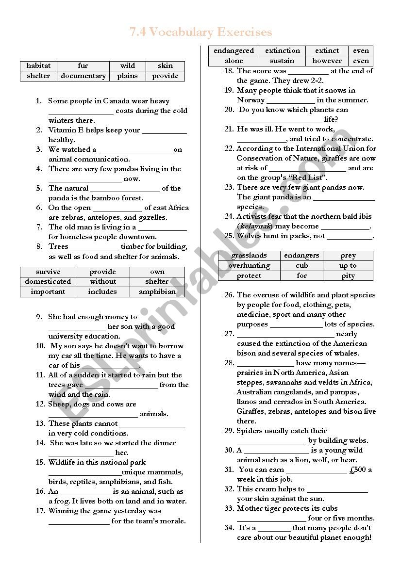 7.4 Vocabulary Test (English Route)