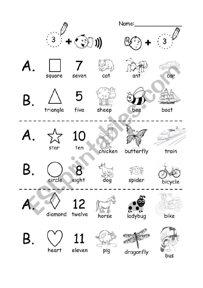 Elementary_Pair Activity_Vocabulary Review and Communication Practice