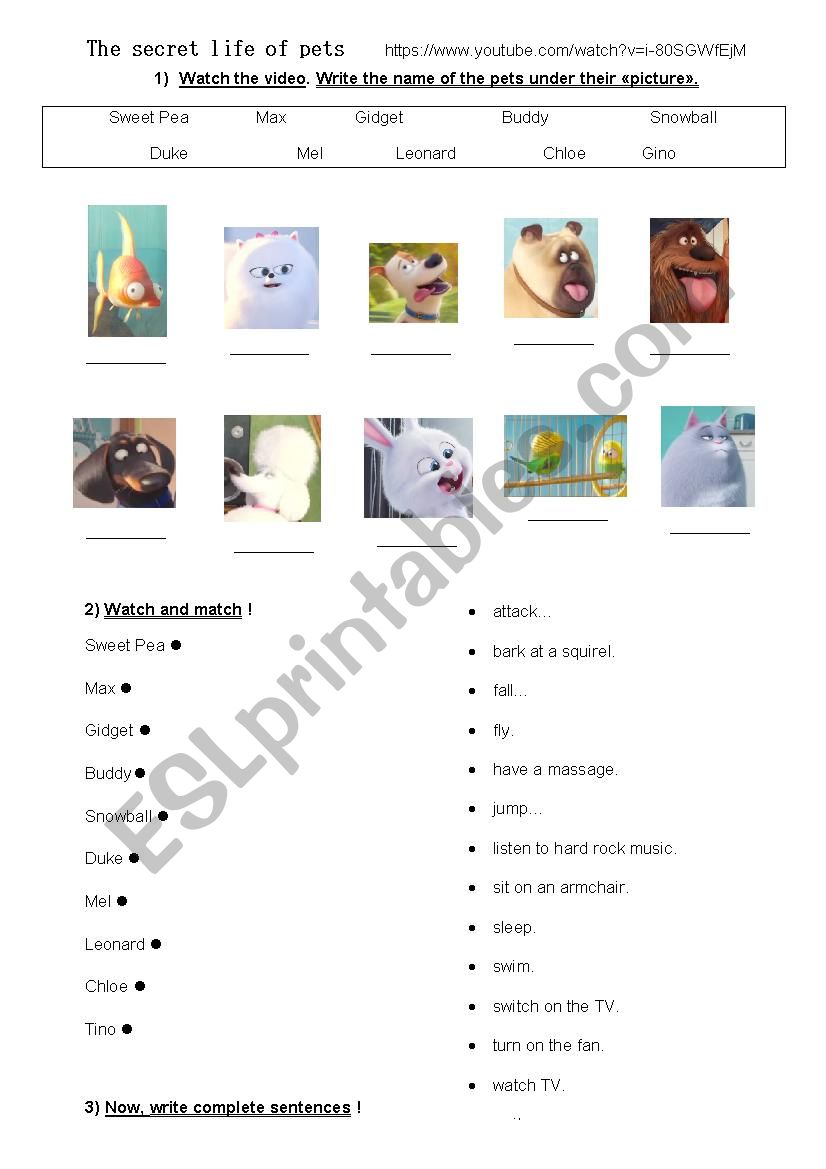 The secret life of pets worksheet