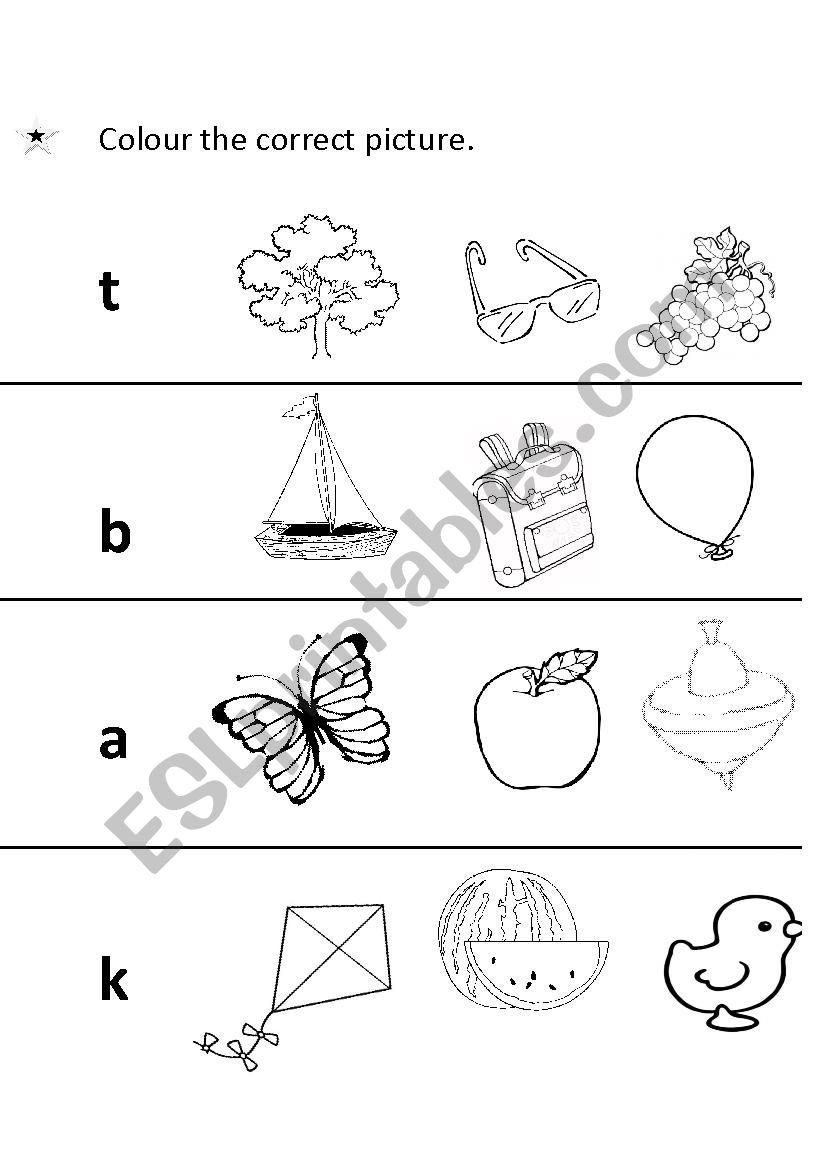 Correct Picture worksheet