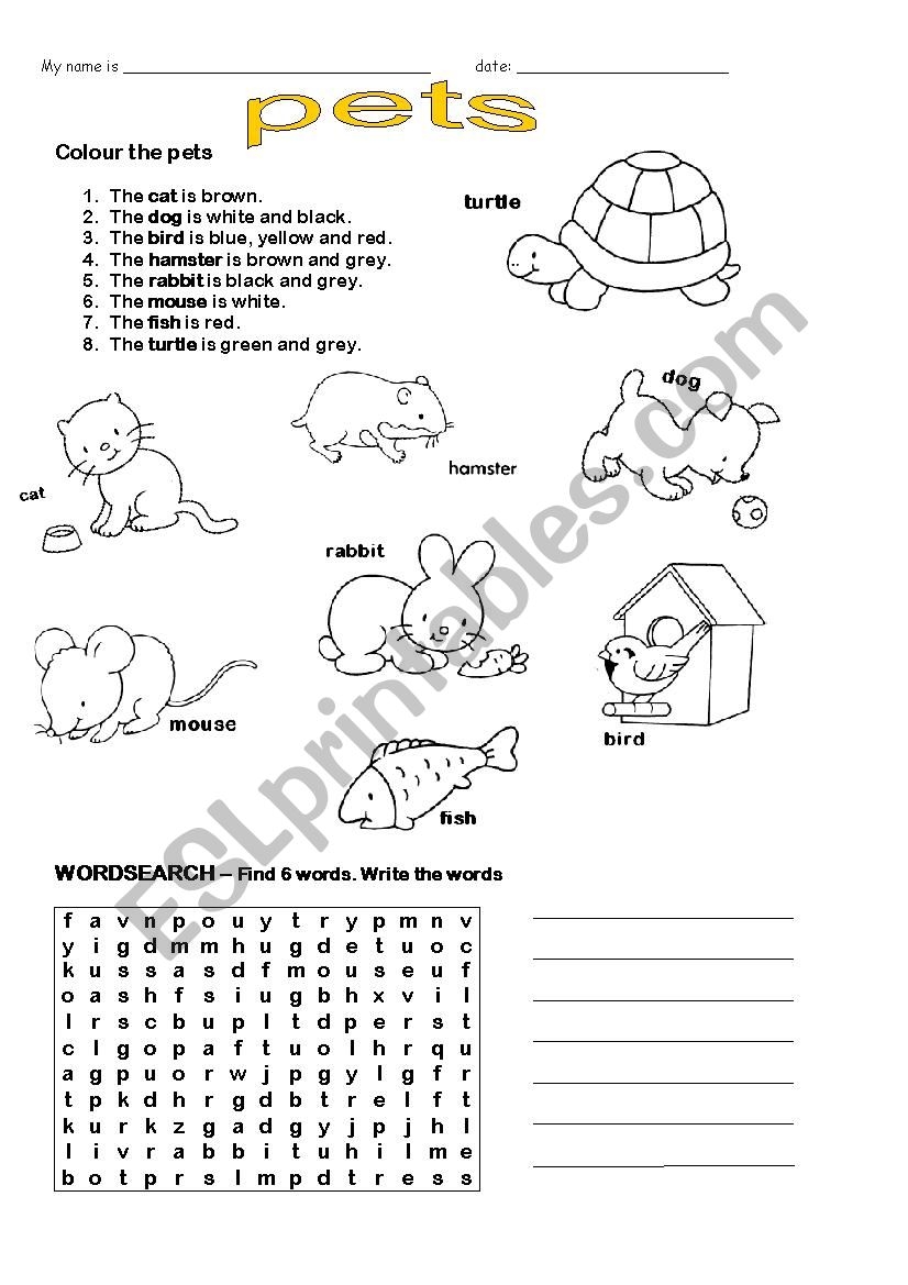 Pets worksheet