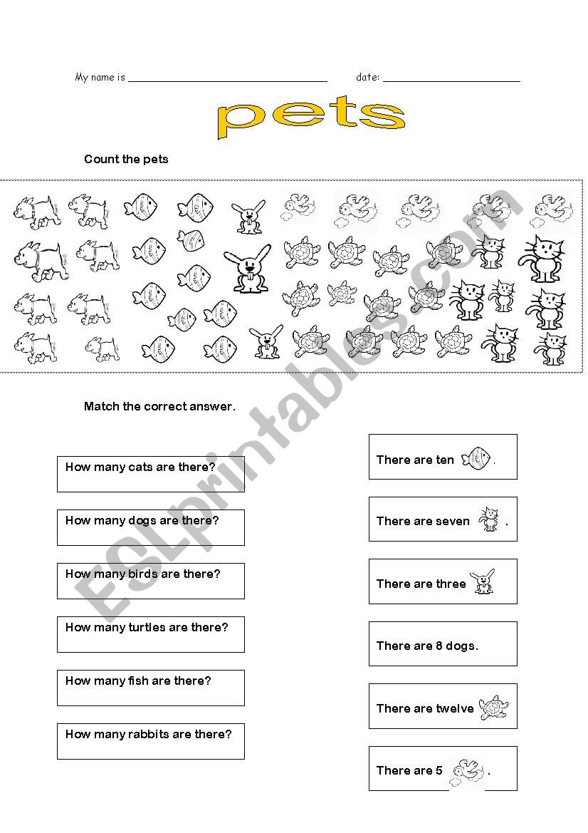 pets worksheet