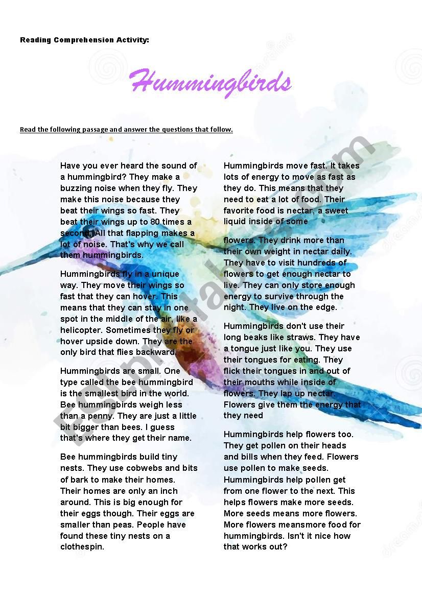 Reading Comprehension Activity: Hummingbirds