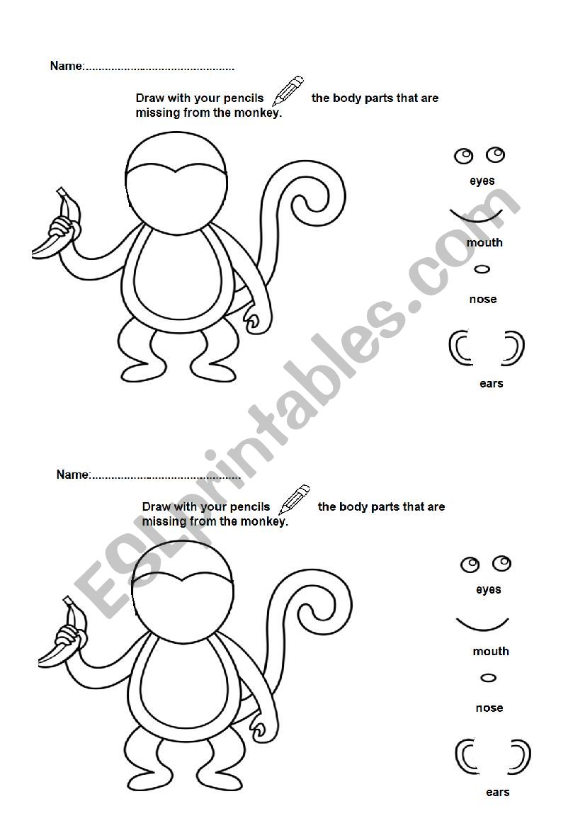 Body parts worksheet