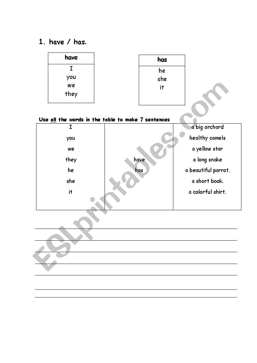 Hava/Has Excercise worksheet