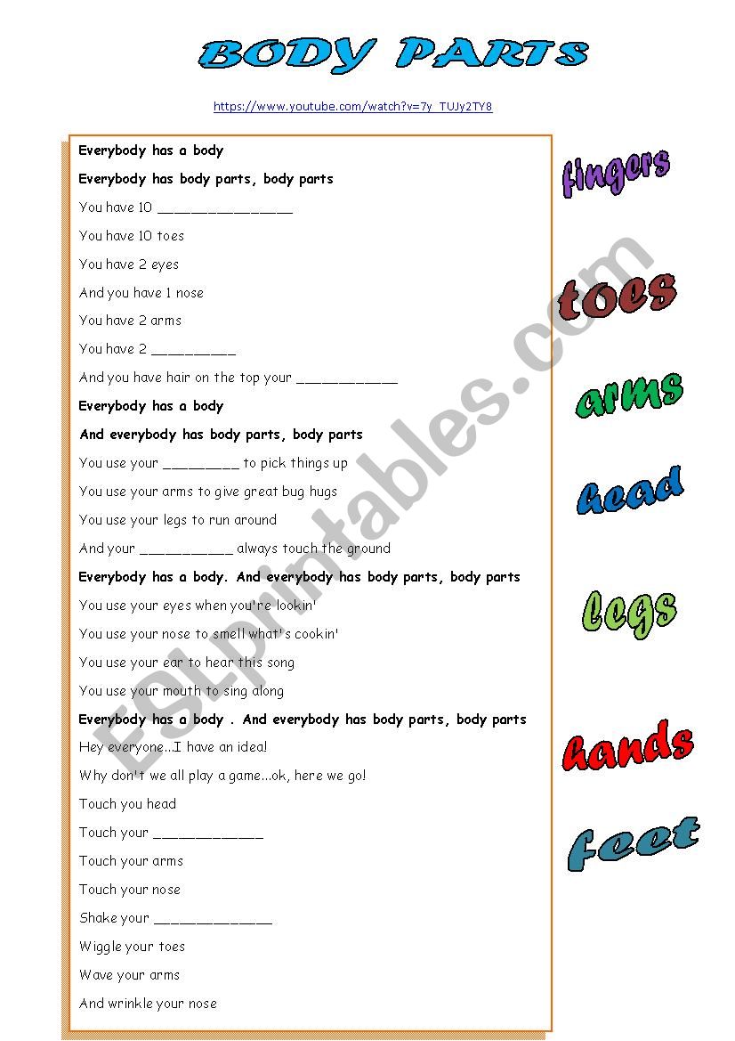 body parts song worksheet
