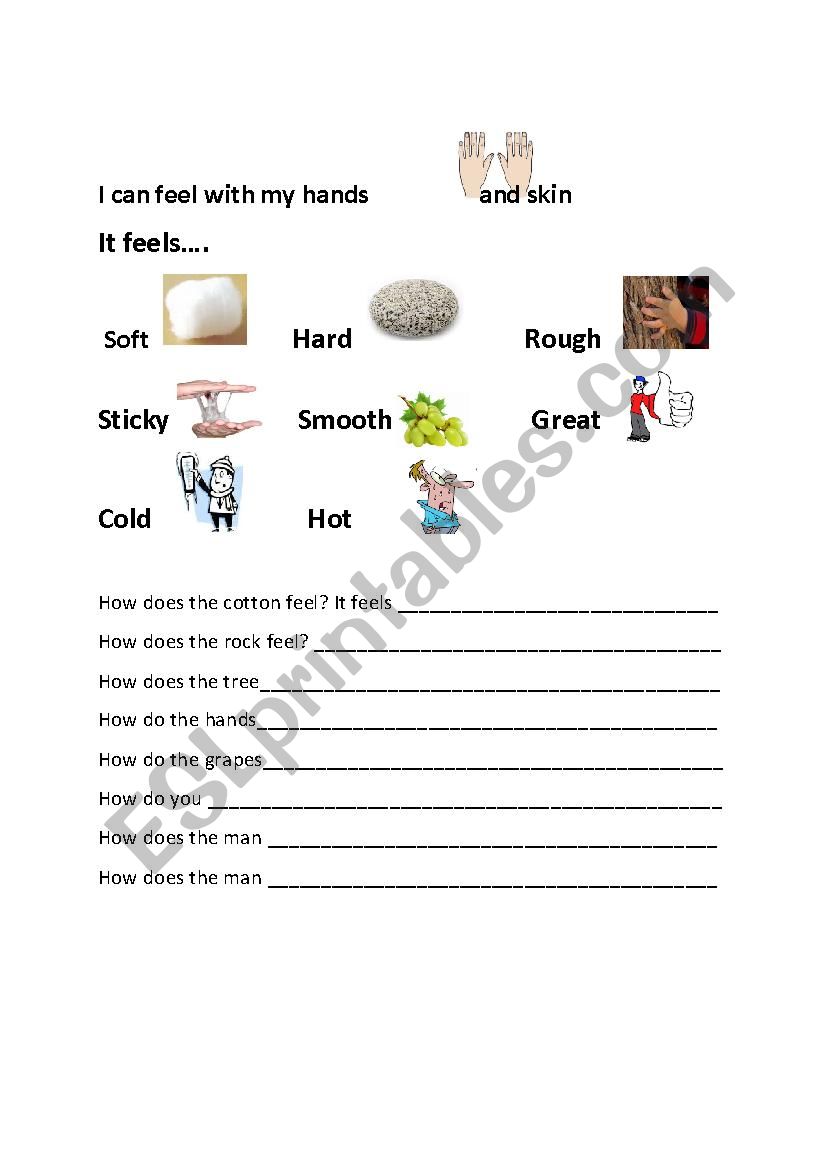 Senses Our worldbook worksheet