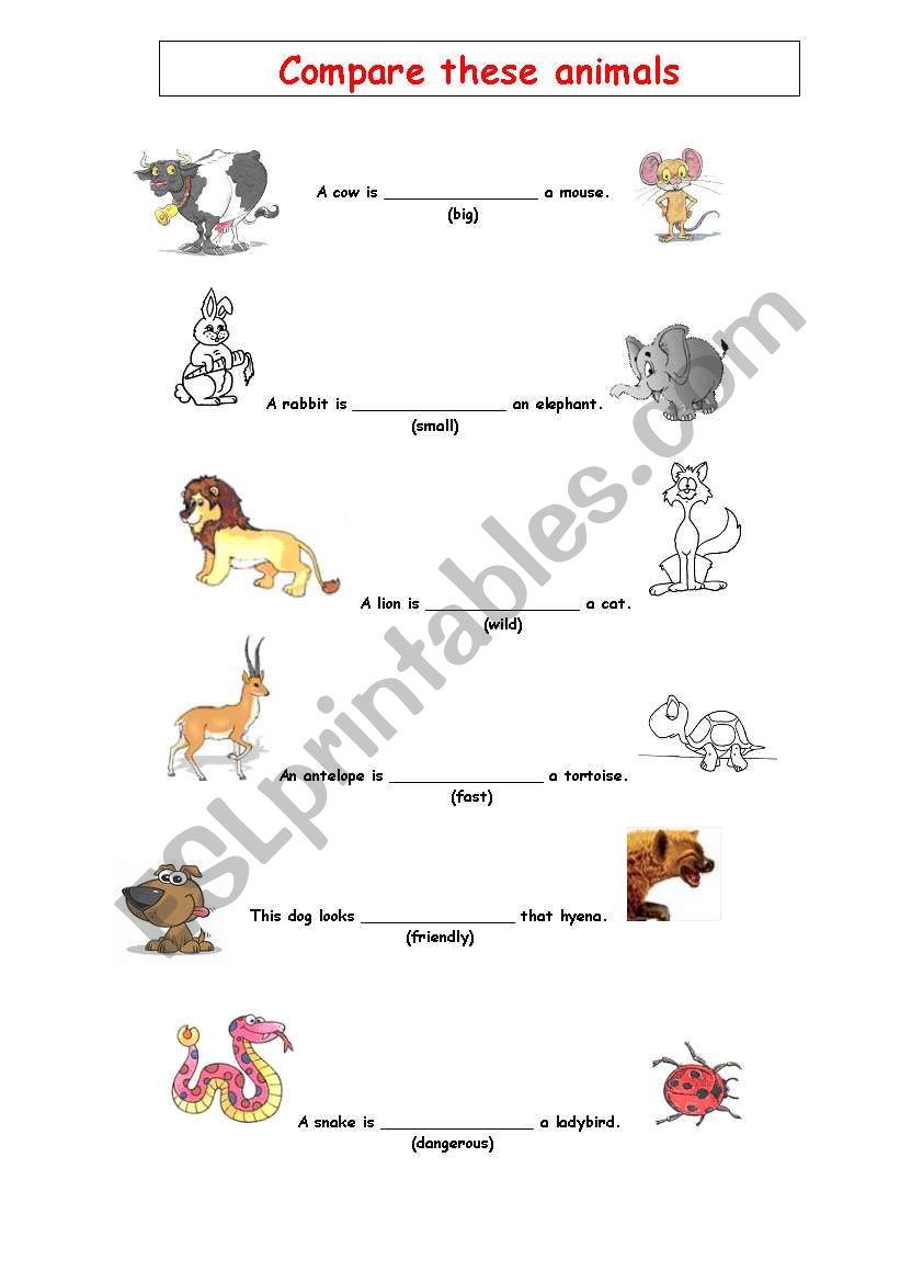 Animal comparisons worksheet