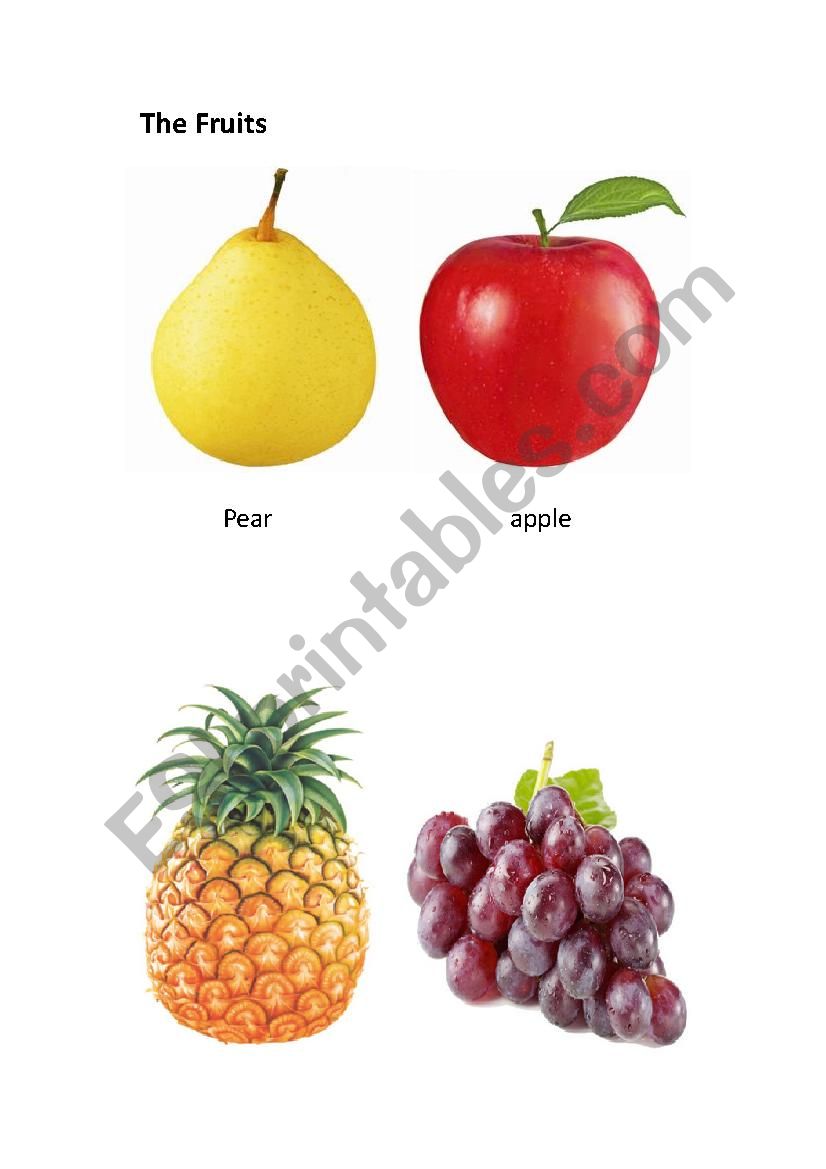 the fruits worksheet