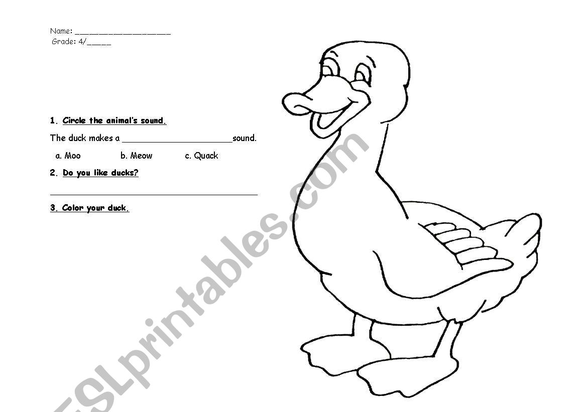 Animals worksheet