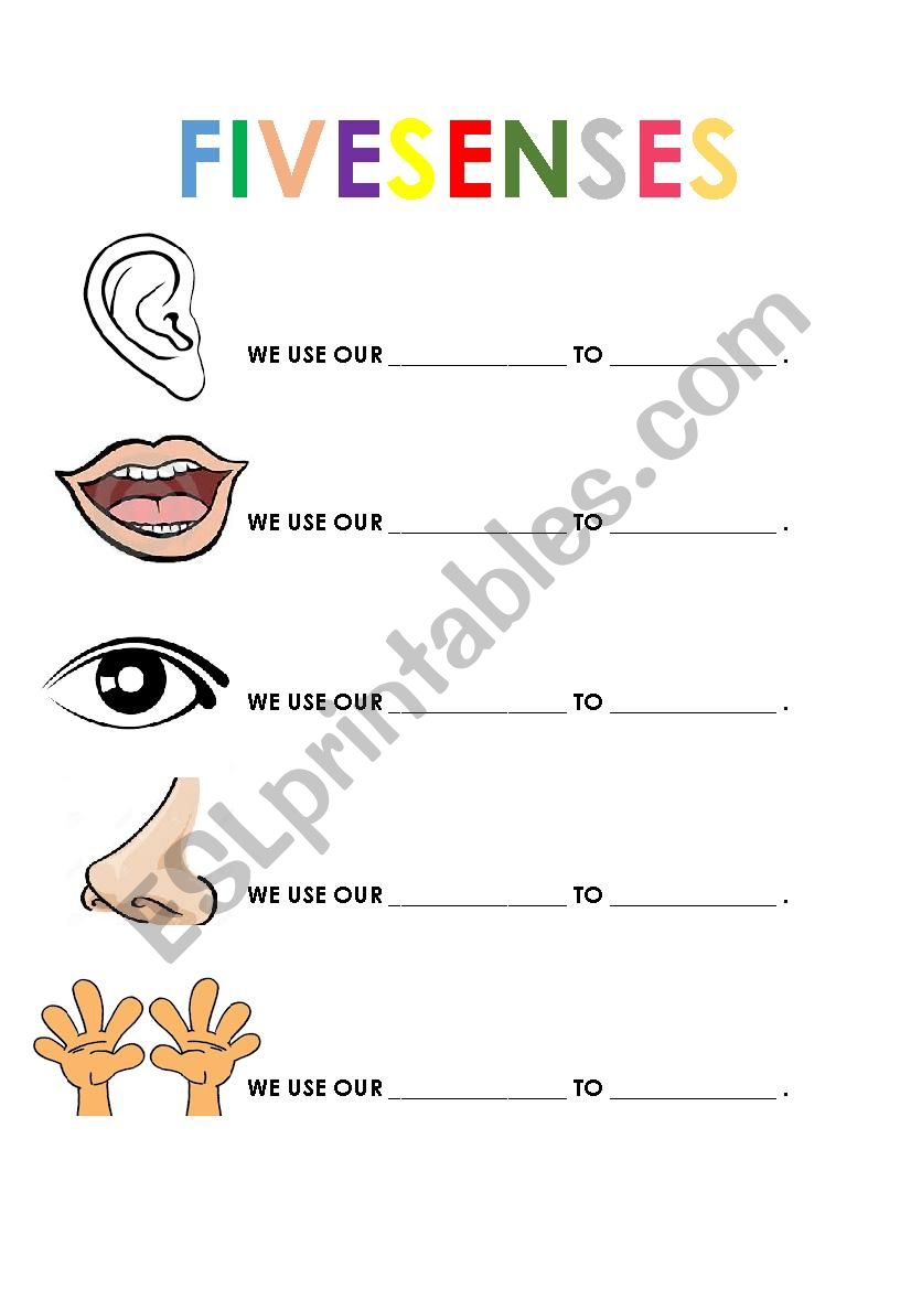 FIVE SENSES worksheet