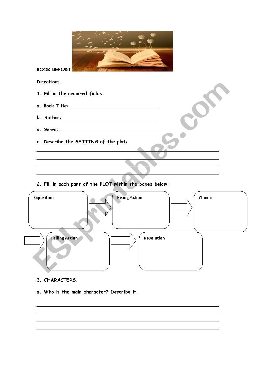 Book Report worksheet